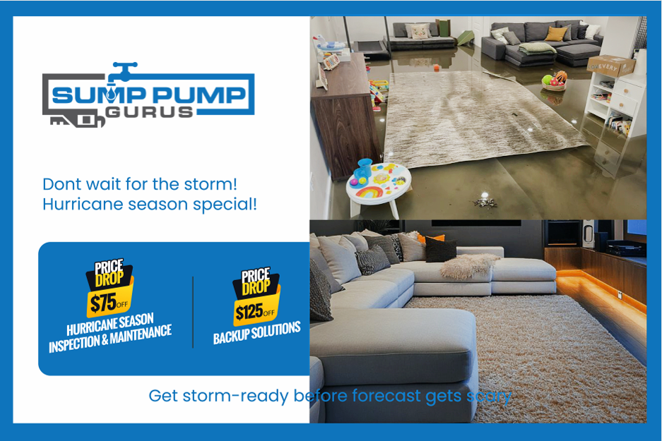 Promotional Flyer - Sump